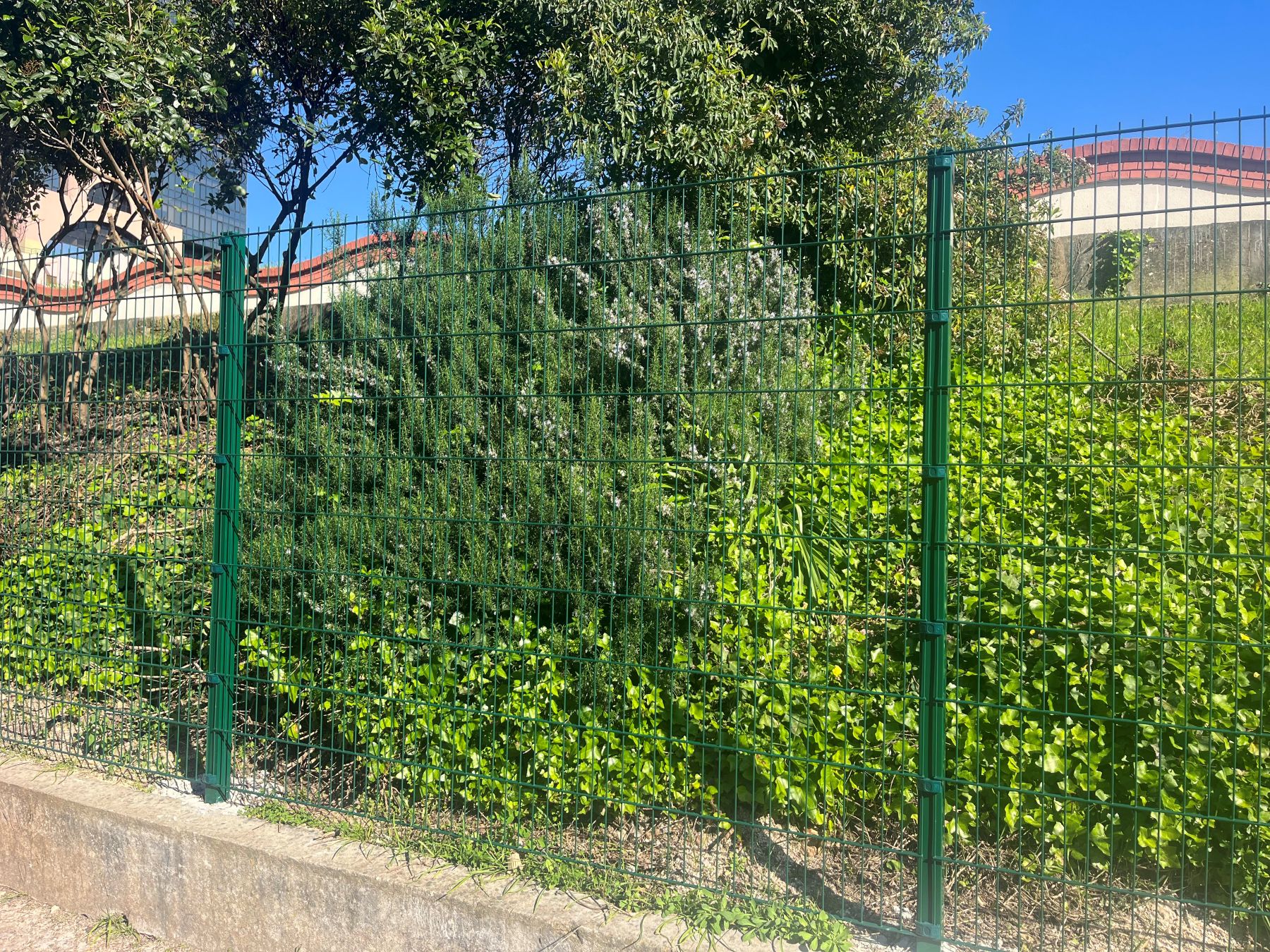 EPAL M&atilde;e de &Aacute;gua &mdash; Painel 8/6/8 RAL 6005 Verde